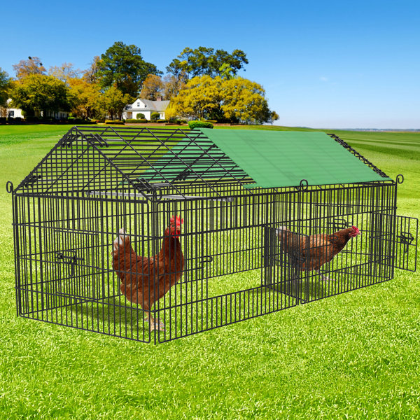 YITAHOME 15 ft² Chicken Coop & Reviews Wayfair